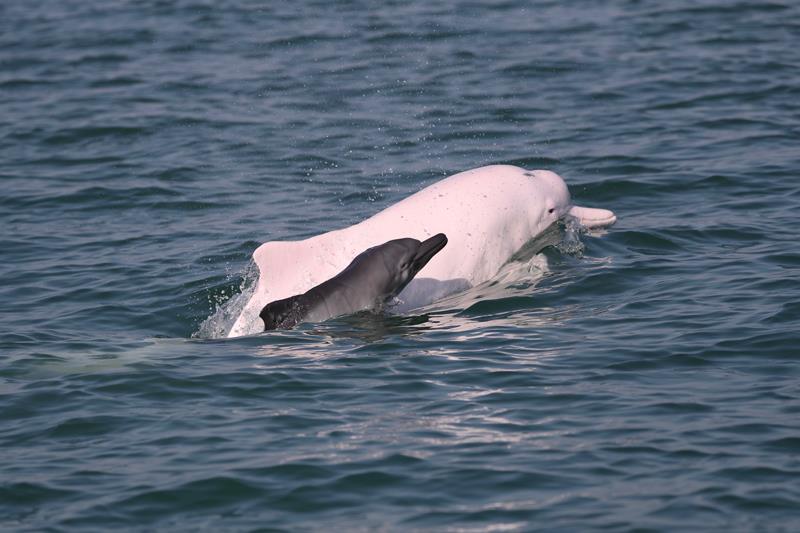 抢抓龙年春节市场 经营业绩迎来“开门红”